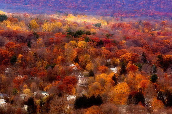 NY Fall Colors, 2007