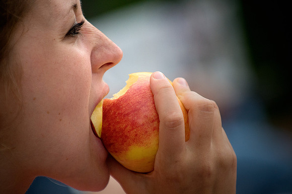 Bite in the Big Apple
